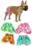 Board Shorts for Dogs
