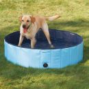 Dog Pool