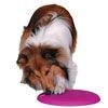 Nina Ottosson  Spinny Interactive  Toy-Plastic for Dogs