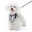 Tuxedo Necktie Dog Harness
