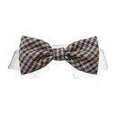 Ethan Dog Bow Tie