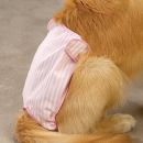 Female Pup Pants