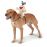 Giggling Baby Saddle Dog Costume