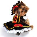 Swashbuckler Pirate Girl Dog Costume