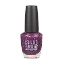 Glitz Nail Polish for Dogs