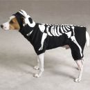 Glow Bones Dog Costume