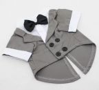 Classic Gray Dog Tuxedo