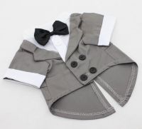 Classic Gray Dog Tuxedo