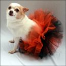Halloween Tutu for Dogs