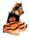 Black Velvet and Tangerine My Lil Pumpkin Tutu Embroidered Dog Dress