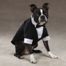 Yappily Ever After Groom Tuxedo for Dogs