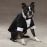 XX-Small Happily Ever After Dog Tuxedo