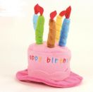 Happy Birthday Cake Dog Hat