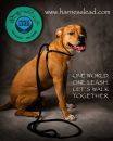 Dog Harness Lead
