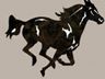 Horse Dog Peter Pads