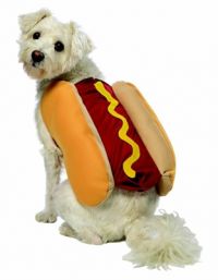 Hot Diggity Dog Costume- Mustard