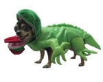 Iguana Dog Costume