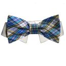 Issac Dog Bow Tie