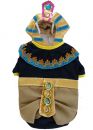 King Mutt Dog Costume