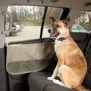 Car Door Guard