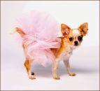 Solid Light Pink Tutu for Dogs
