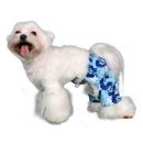Mykonos Dog Swim Trunks
