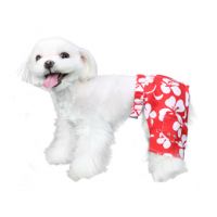 Okinawa Dog Swim Trunk