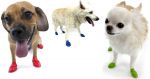 Poochieheaven Product Tester
