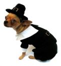 Pilgrim Boy Dog Costume