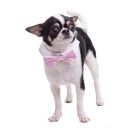 Pink Satin Dog Bow Tie