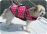 Polka Dot  Life Jacket for Dogs