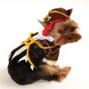 Pirate Captain Dog Costume