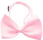 Plain Dog Bow Ties