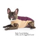 Portland Pullover Dog Fleece Coat- 3 Colors