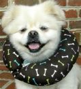 Puppy Bumpers Muddy Bones
