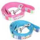 Rainbow Lead for Dogs