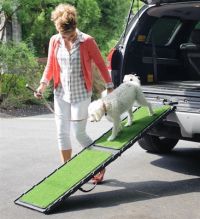 Natural-Step Dog Ramp