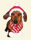 Red Holiday Hat & Candy Candy Dog Scarf