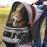 Regal Dog Stroller up to 25lbs