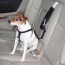 Ride Right Seat Belt Connector for Dogs