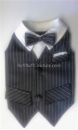 Albert Couture Dog Vest