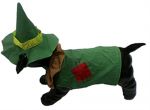 Scarecrow Dog Costume