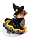 Scarecrow Witch Dog Costume