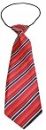 Big Dog Shades of Red Neck Tie