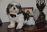X-Small Dog Tuxedo- Black