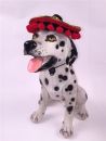 Sombrero Dog Hat with Pom Pom