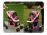 Sport Pet Stroller - Sport Pink for Dogs