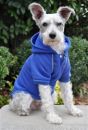 Nautical Blue Sport Dog Sweatshirt