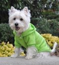 Green Flash Sport Dog Sweatshirt