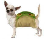 Taco  Halloween Costume for Dogs